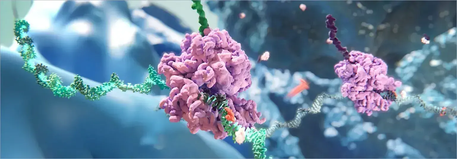 Ribosome-producing disease-causing protein from mRNA